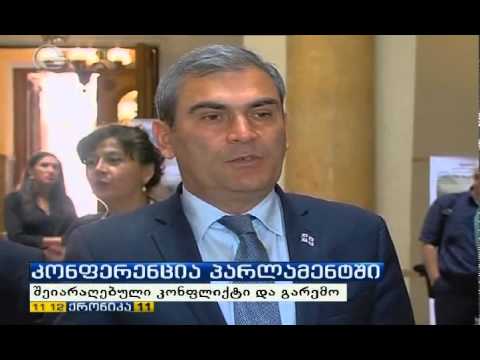 გიგლა აგულაშვილი მონაწილეობს კონფერენციაში, \'შეიარაღებული კონფლიქტები და გარემო\'